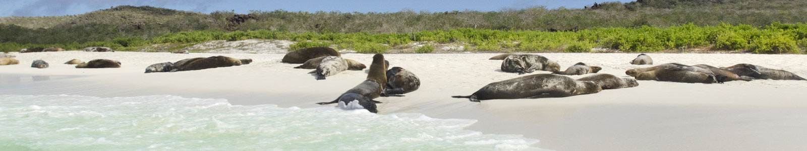 Ecuador and the Galapagos Islands