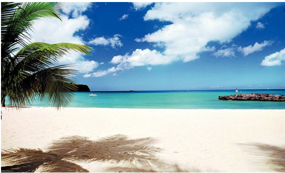 Thomas Cook 2016